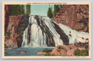 Gibbon Falls Yellowstone Nationalpark Wyoming WY Postkarte - Bild 1 von 2