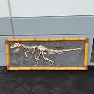 Dinosaur T-Rex Skeleton Wall Decor Prehistoric Prop Resin Over Sized Statue - Picture 1 of 7
