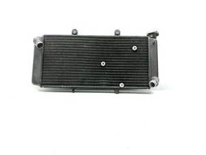 01-07 Aprilia Caponord ETV 1000 Engine Motor Radiator - Picture 1 of 11