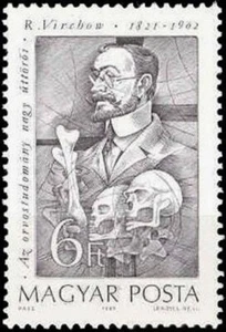 HUNGARY - 1989 - Rudolf Virchow - Medical Pioneers - MNH Stamp - Sc. #3216 - Picture 1 of 1
