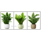 1 Set Topfpflanzen-Wandaufkleber, Bonsai-Pflanzen-Wandaufkleber,