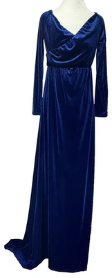 Womens Velvet Victorian Festival Maxi Dress Size M Renfair Whimsygoth Regal Glam - Image 1 of 4