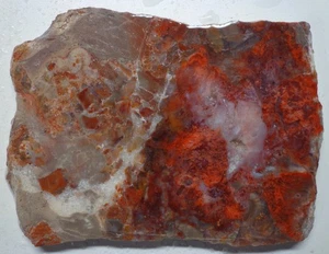 WRG - Losa de ágata musgo de Wyoming 188 gramos pluma lapidaria encaje jaspe - Imagen 1 de 4