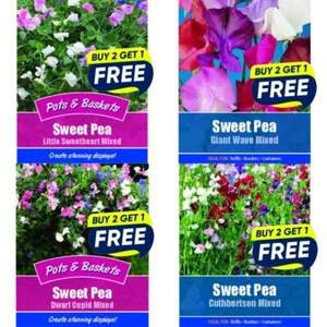 Flower Seeds Plants Borders Lobelia,Pansy,Bedding etc | Over 70 varieties - Picture 1 of 101