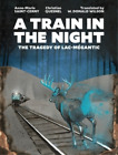 Anne-Marie Saint-Cerny A Train in the Night (Taschenbuch)