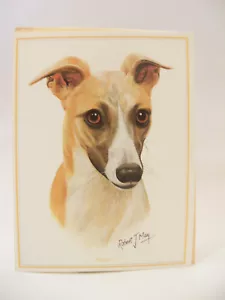 Quay Publications Robert J. May Art Card Whippet Dog In Cellophane - Picture 1 of 5