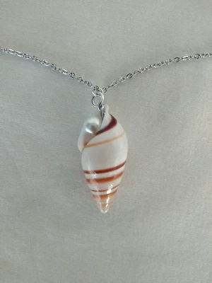 Collar Colgante Real Seashell 18" Para Mujer Joyería Boho Vendedor de EE. UU. Regalo Foto 1 de 4