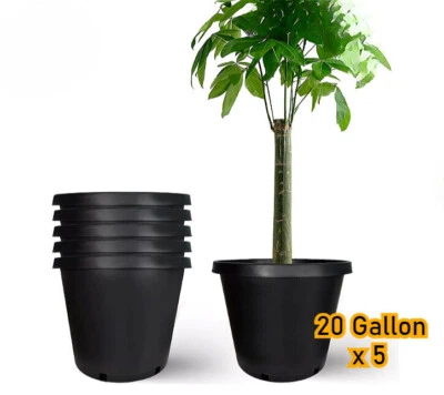 Contenedores para vivero de plástico negro para plantas de jardín de 20 galones (juego de 5) Foto 1 de 4