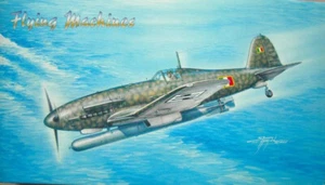 FIAT G. 55 I SERIE & TORP - Foto 1 di 1