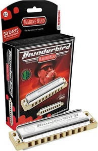 NEW HOHNER M2011 THUNDERBIRD DIATONIC HARMONICA HARP KEY OF LOW D GERMANY - Picture 1 of 1