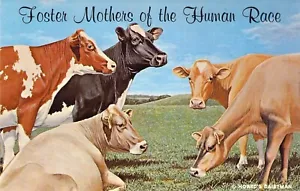 Tarjeta postal 1970 WI las cinco razas de vacas lecheras madres de raza humana N25 - Imagen 1 de 2