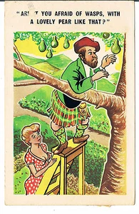 D CONSTANCE CARD ARN'T YOU AFRAID OF WASPS WITH A LOVELY PEAR LIKE THAT C822 - Foto 1 di 2