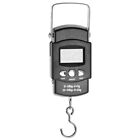 Digital Hanging Fishing Scale Body Weight Spring Balance Wander about