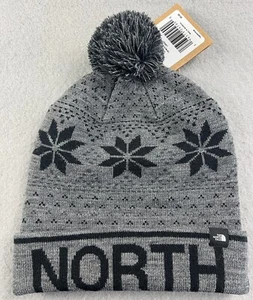 THE NORTH FACE Kids Unisex Knit Cuffed Lined Beanie Bobble Size Large Gray NWT - Picture 1 of 6