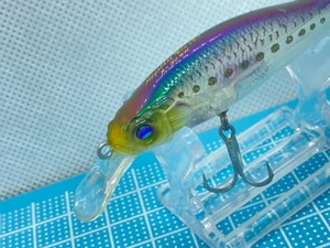1661) Megabass X-80 SW (s) affondamento marea acqua salata Minnow,Daiwa SHORELINE SHINER - Foto 1 di 7