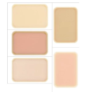 Cover up Sticker Flaw Concealer Stickers Scars Removal Sheet Pet Waterproof - Picture 1 of 7