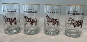 Abercrombie Cam Fella & Rambling Willie Meadowlands Horse Racing Glasses w/Boxes - Picture 1 of 6