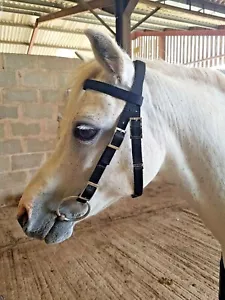 Mezza corona BRIDLE Shetland, piccolo pony, pony, pannocchia, F/S. Rete sintetica lavabile - Foto 1 di 52