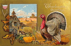 Postcard Antique Patriotic Thanksgiving Greetings Embossed Turkey Flag - 1909 - Picture 1 of 2