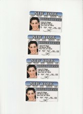 set of 4 Jason Biggs New York NY fun fake ID Cards Drivers Licenses 