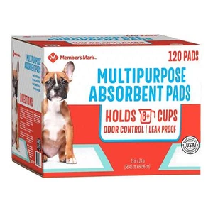 Member's Mark Pet Training Pads, 23" x 24" (120 ct.) (pack of 2) - Picture 1 of 5