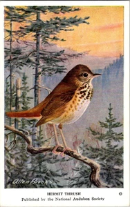 Vintage Audubon Bird Card by ALLAN BROOKS 1950s Hermit Thrush #48 - Foto 1 di 2