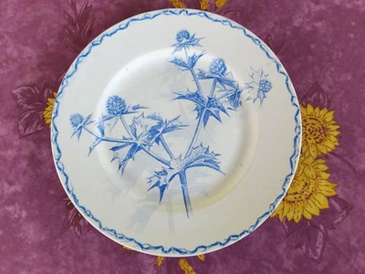 Assiette Plate Terre de Fer Creil et Montereau Modèle Chardon Décor Bleu 22,5cm - Photo 1/4