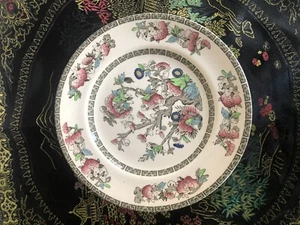 JOHNSON BROS IRONSTONE “ INDIAN TREE” 8 7/8” plate Hand painted England SET OF 2 - Picture 1 of 2