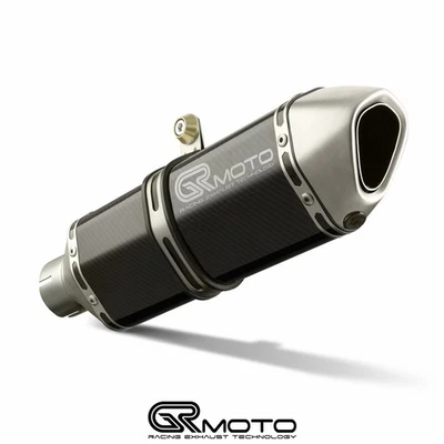 Auspuff für BMW F800 R 2009-2019 GRmoto Carbon Titanium - Bild 1 von 3