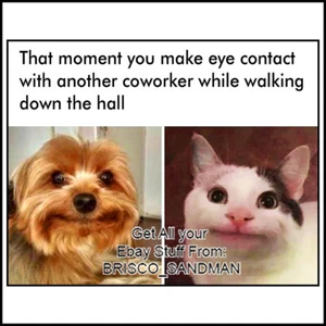 Kühlschrank Spaß Kühlschrankmagnet "AUGENKONTAKT MIT EINEM KOLLEGEN HERSTELLEN" Lustiges Meme - Bild 1 von 12