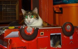 Scoot & Newts Presents  Blind Snarlz in a Broken Down Fire Truck 8 x 10 - Bild 1 von 1