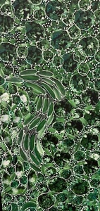 Rachael Nambula đŸ’•Aboriginal Art 89cm X 40cm COA Supplied RN4A-3 - Picture 1 of 11