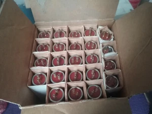 (1 PIECE) GENUINE NEC JAPAN FL8CW-EXP LIGHT BULBS Fluorescent Lamps - Picture 1 of 3