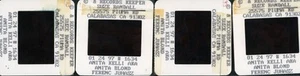 4 x slide diapositive transparency 35mm nu nude Anita Blond Rare Modelling - Bild 1 von 10