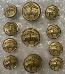 11 Brooks Brothers Blazer Button Set Golden Fleece Sheep Gold Brass Waterbury - Picture 1 of 6