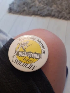 Insignia vintage del Museo de Yorkshire - Imagen 1 de 2