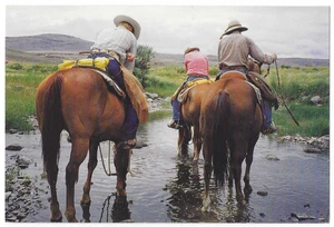 Postal de vaqueros Riverside Oregon riegando caballos en River Crossing - Imagen 1 de 2