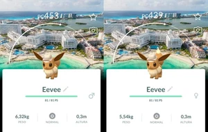 Pokémon Go Eevee Explorer Hat (Cancun Background) Pokemon Trade Go - Picture 1 of 1