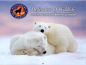Wandkalender 2025-2026 Defenders of Wildlife 18 Monate Wölfe Bären Katzen Adler - Bild 1 von 3