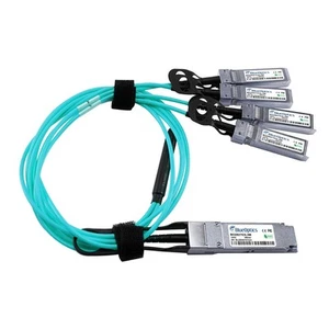 Extreme Networks 10443 kompatibles BlueOptics AOC QSFP28 BO282703L10M - Picture 1 of 5
