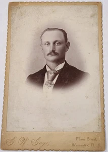 Antique Cabinet Card Photo 1800s Handsome Gentleman Worcester N.Y. Mustache - Picture 1 of 3