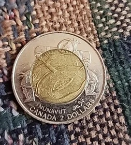 1999 Canadian 2 Dollar Coin Queen Elizabeth II D.G. Regina - Picture 1 of 5