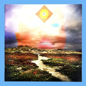 High Places S/T (2008) fast neuwertig/ex Vinyl-LP mit Einsatz Nervenkitzel Jockey THRILL207 siehe Fotos - Bild 1 von 6