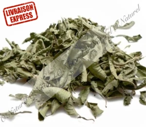 Feuilles de Verveine Séchées BIO 100% Naturel 30g Verbena Leaves Hoja de Verbena - Bild 1 von 1