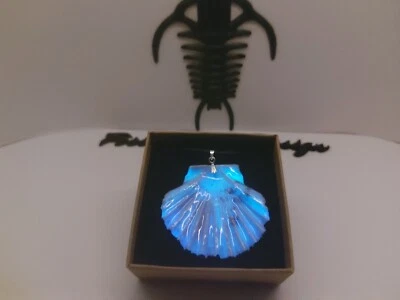 Fossil Shell Pettine Pendente Glow in the dark Art.2spgd - Immagine 1 di 4