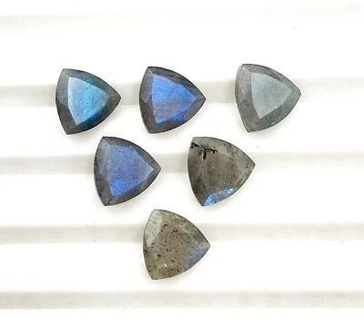 Natural Labradorite Trillion Cut Loose Gemstone Lot 6 Pcs 8 MM 9 CT - Image 1 of 4