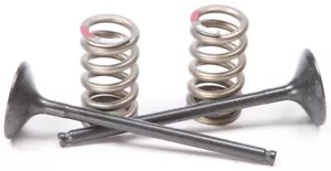 Pro-X Steel Valves and Spring Kits Exhaust 28.SES2414-1 - Picture 1 of 1