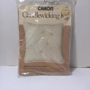 Strawberries & Vines Pillow Candlewicking Kit Caron 12" x 12" - Picture 1 of 4