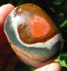 POLYCHROME JASPER VITALITY & CREATIVITY POLISHED CRYSTAL PALMSTONE MADAGASCAR *2 - Picture 1 of 7