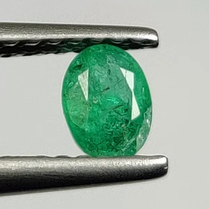0,27 quilates - Esmeralda natural de Zambia brillo fino gema verde corte ovalado - 8470 - Imagen 1 de 2